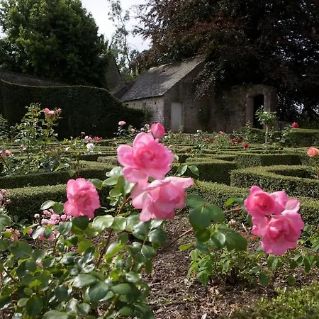 Maison De Charme Dans Un Beau Jardin 